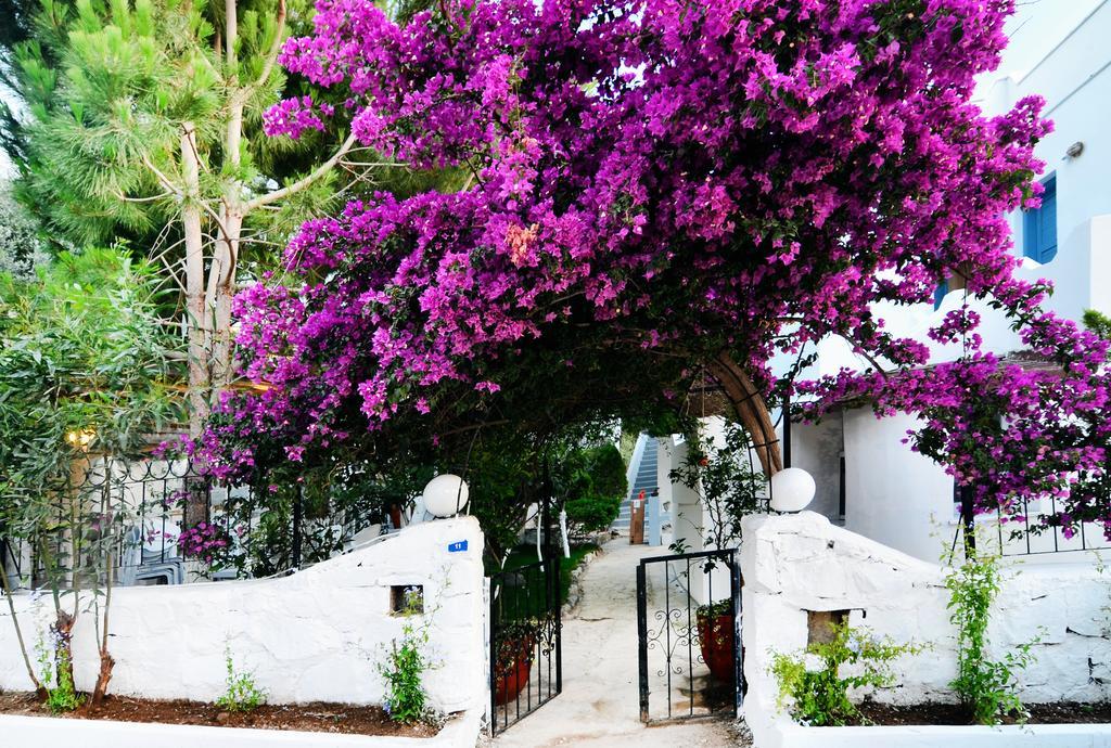 Misket Hotel Bodrum Гюмюшлюк Экстерьер фото